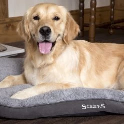 Boneguard Rawhide Bones -Happy Paws Verkoop scruffs cosy mattress 209363 1500 none