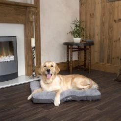 Boneguard Rawhide Bones -Happy Paws Verkoop scruffs cosy mattress 209366 1500 none
