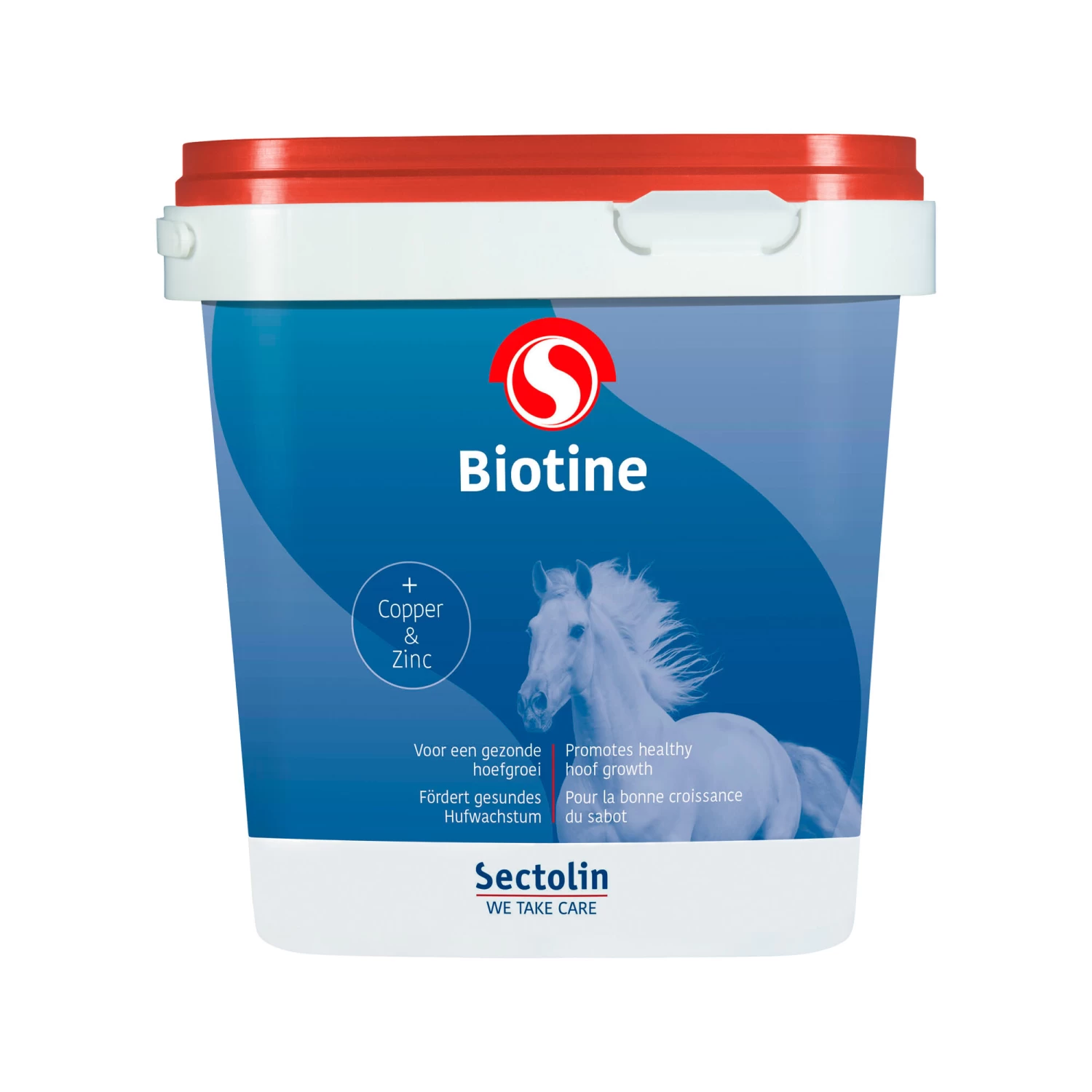 Sectolin Equivital Biotine 2 Sectolin Equivital Biotine - Afbeelding 2