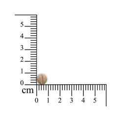 Sensipharm Sneeze Aid Kat 8 Sensipharm Sneeze Aid Kat -Happy Paws Verkoop sensipharm sneeze aid kat 174685 1000 none