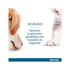 Seresto Kat 18 Seresto Kat -Happy Paws Verkoop seresto kat 174139 0500 none