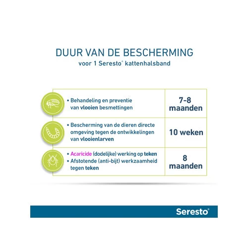 Seresto Kat 8 Seresto Kat - Afbeelding 8