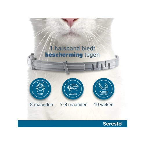 Seresto Kat 4 Seresto Kat - Afbeelding 4