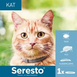 Seresto Kat 12 Seresto Kat -Happy Paws Verkoop seresto kat 182296 1000 none