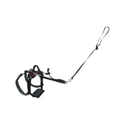 PetSafe Carelift - Draagsysteem Voor De Hond 25 PetSafe Carelift - Draagsysteem Voor De Hond -Happy Paws Verkoop solvit carelift draagsysteem voor de hond 163708 1000 none