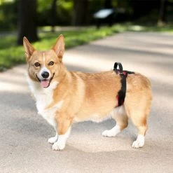 PetSafe Carelift - Draagsysteem Voor De Hond 29 PetSafe Carelift - Draagsysteem Voor De Hond -Happy Paws Verkoop solvit carelift draagsysteem voor de hond 163711 0500 none