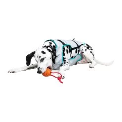 Suitical DRY Cooling Vest -Happy Paws Verkoop suitical dry cooling vest 149882 2000 none