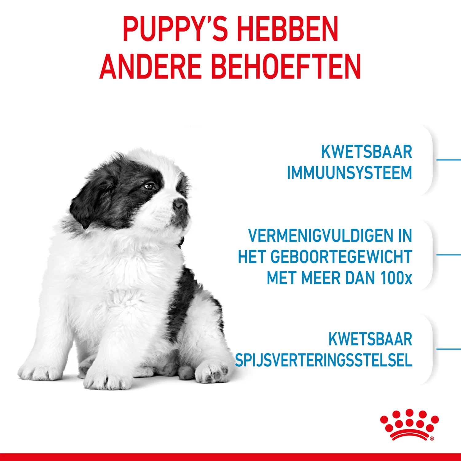 Royal Canin Giant Puppy - Hondenvoer 5 Royal Canin Giant Puppy - Hondenvoer - Afbeelding 5