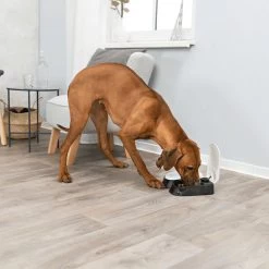 Trixie Dubbele Voederautomaat TX2 7 Trixie Dubbele Voederautomaat TX2 -Happy Paws Verkoop trixie dubbele voederautomaat tx2 170914 1000 none