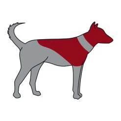 Trixie Opblaasbare Beschermkraag -Happy Paws Verkoop trixie opblaasbare beschermkraag 101866 0500 none