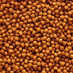 Versele-Laga Nutribird T16 Toekan -Happy Paws Verkoop versele laga nutribird t16 toekan 219042 1000 none