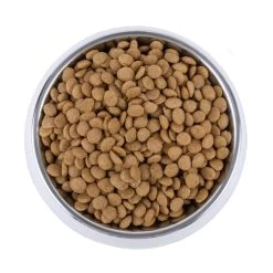 Vetality Skin Support - Hondenvoer -Happy Paws Verkoop vetality skin support hondenvoer 195221 1000 none