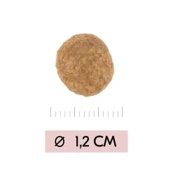 Vetality Skin Support - Hondenvoer -Happy Paws Verkoop vetality skin support hondenvoer 195452 1000 none