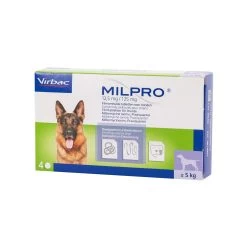 Milpro Hond