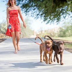 Wigzi Dual Doggie 2.0 -Happy Paws Verkoop wigzi dual doggie 20 167836 1500 none