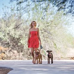 Wigzi Dual Doggie 2.0 -Happy Paws Verkoop wigzi dual doggie 20 167839 1500 none