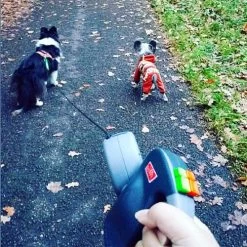 Wigzie Dual Doggie 3.0 -Happy Paws Verkoop wigzi dual doggie 30 167845 0500 none