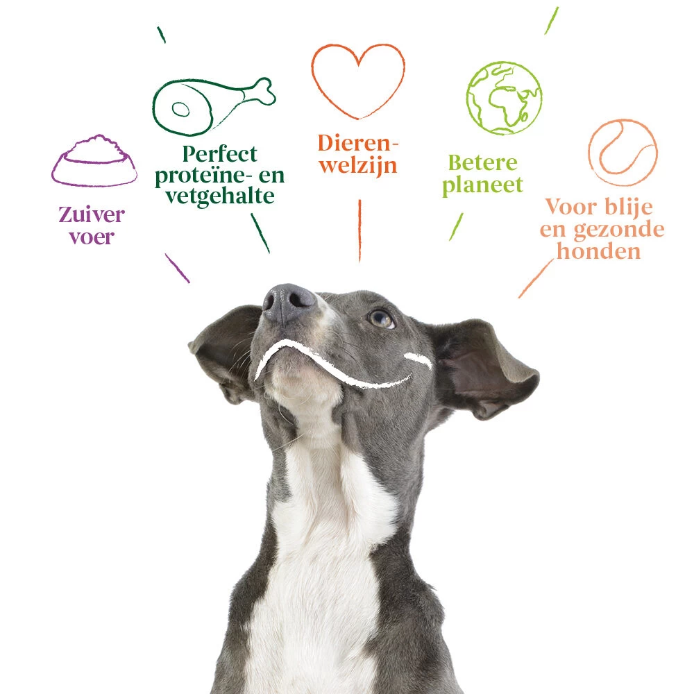 Yarrah - Natvoer Hond Kuipje Chunks Met Rund Bio - Afbeelding 6