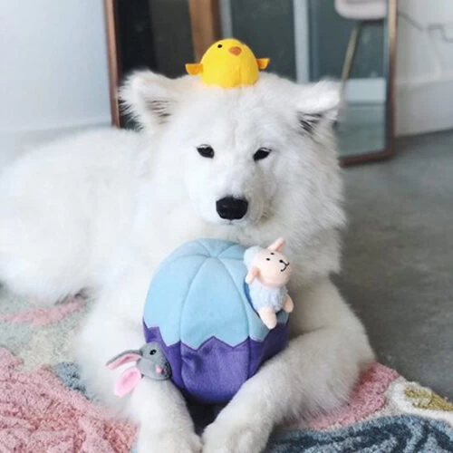 ZippyPaws Zippy Burrow - Easter Egg And Friends 3 ZippyPaws Zippy Burrow - Easter Egg And Friends - Afbeelding 3