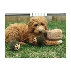 ZippyPaws Zippy Burrow Hedgehog Den -Happy Paws Verkoop zippypaws zippy burrow hedgehog den 221069 0500 none