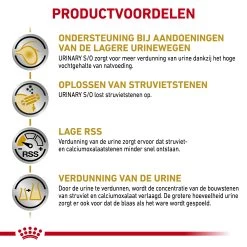 Royal Canin Urinary S/O Kat -Happy Paws Verkoop znVPdapKahwHPJlG666BCg37AIk9Q7 metaVVJJTkFSWS1TTy1MT0FGLTMuanBn